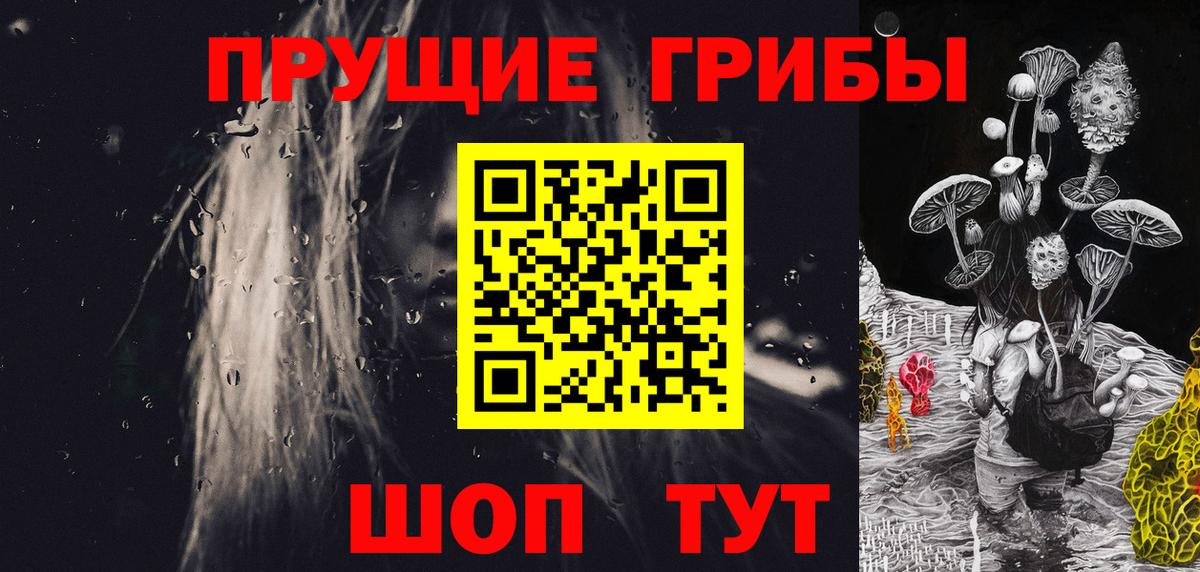 Галлюциногенные грибы Psilocybine cubensis  Псилоцибиновые грибы ЛСД  Вход с VPN  Вичуга 