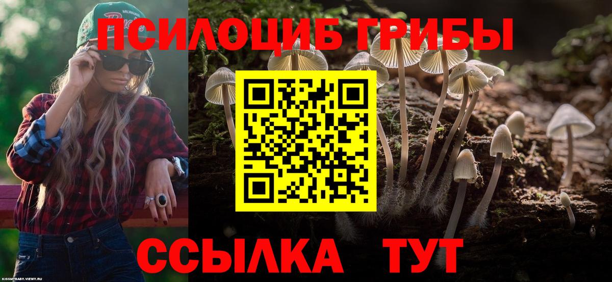 Псилоцибиновые грибы MAGIC MUSHROOMS Вичуга