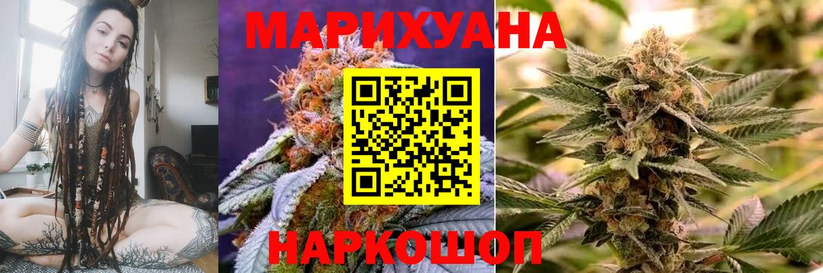 Конопля сатива Вичуга